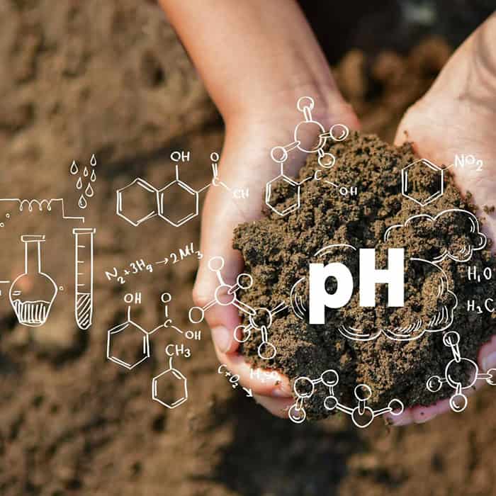 کنترل pH خاک وبلاگ